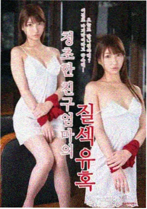 第七封回执的文书式开场